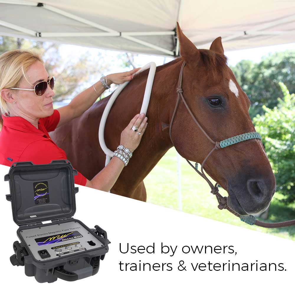 Magna Wave PEMF Used by owners trainers & veterinarians