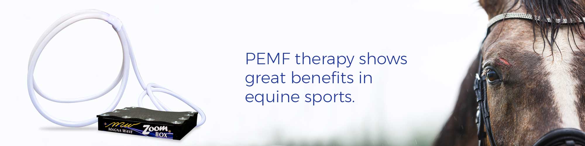 PEMF therapy shows great benefits in equine sports.