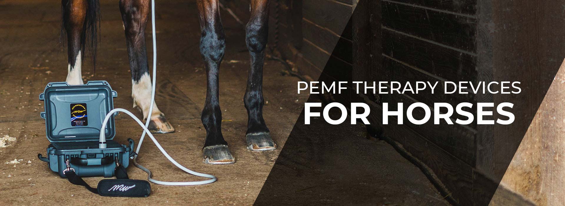 PEMF Therapy Devices for Horses
