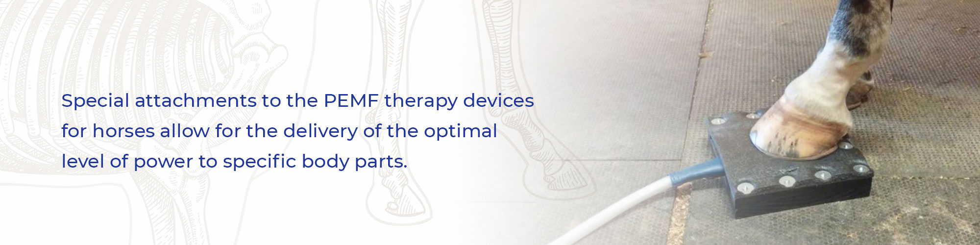 Special attachments to the PEMF therapy devices for horses allow for the delivery of the optimal level of power to specific body parts.