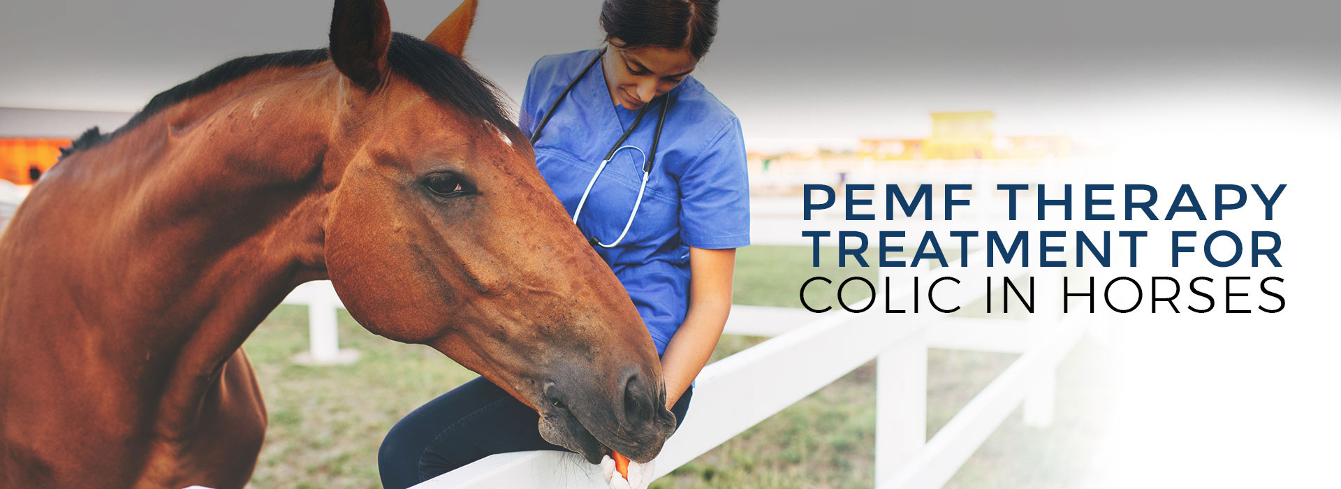 PEMF Therapy Treatment for Colic in Horses
