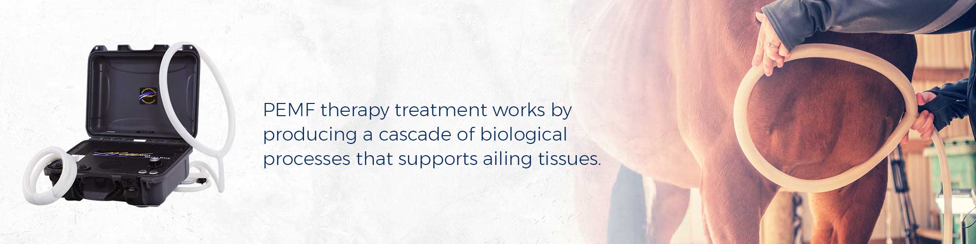PEMF therapy treatment works by producing a cascade of biological processes that supports ailing tissues.