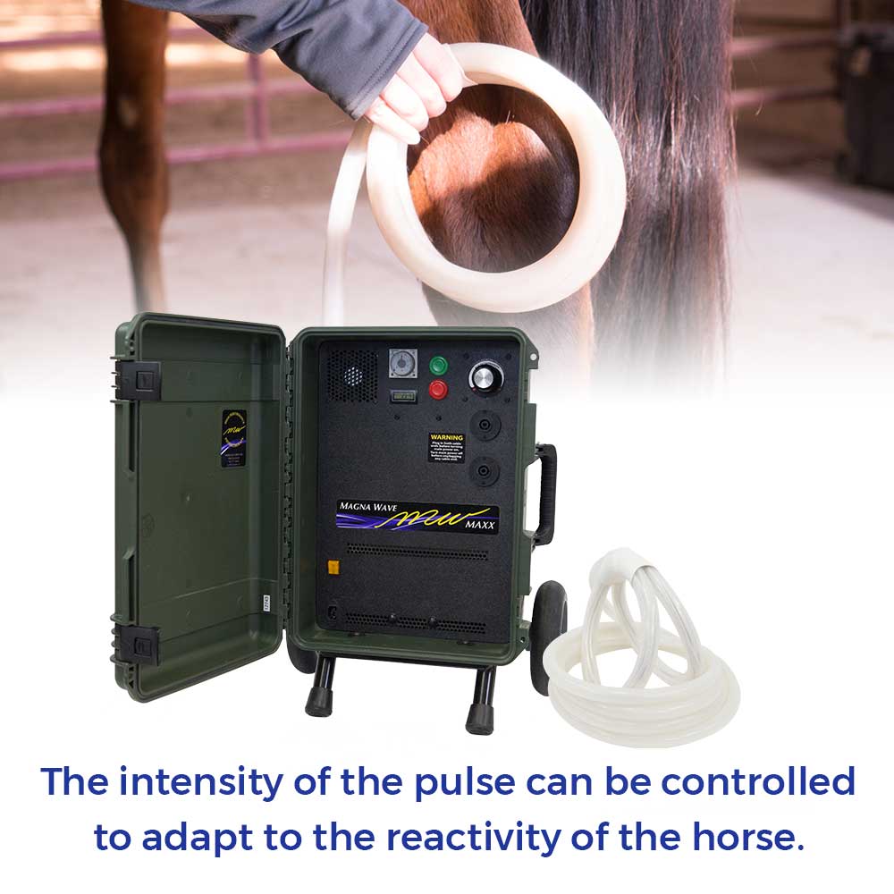 The intensity of the pulse can be controlled to adapt to the reactivity of the horse.