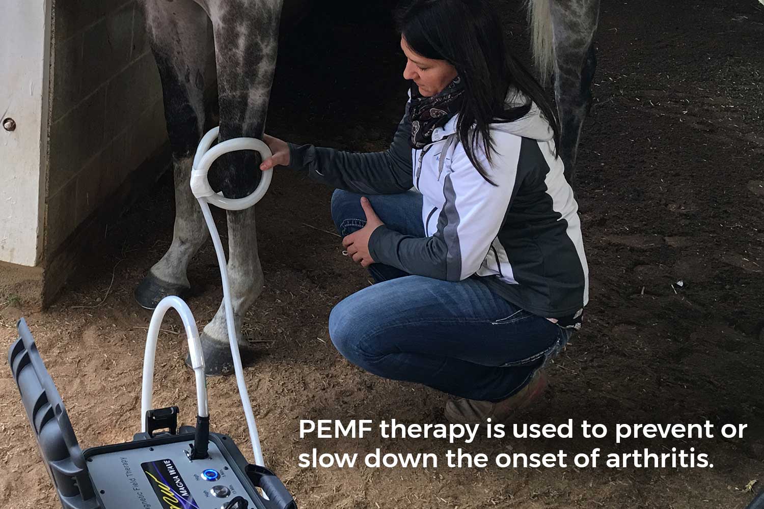 PEMF therapy is used to prevent or slow down the onset of arthritis.