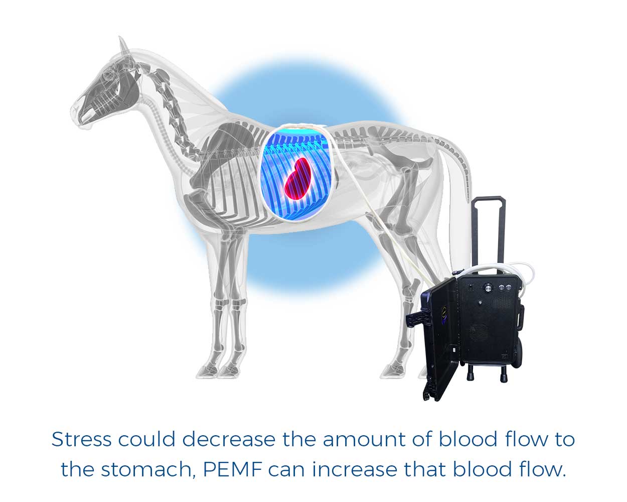 Stress could decrease the amount of blood flow to the stomach, PEMF can increase that blood flow