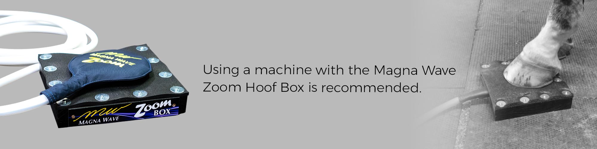 Using a machine with the Magna Wave Zoom Hoof Box is recommended