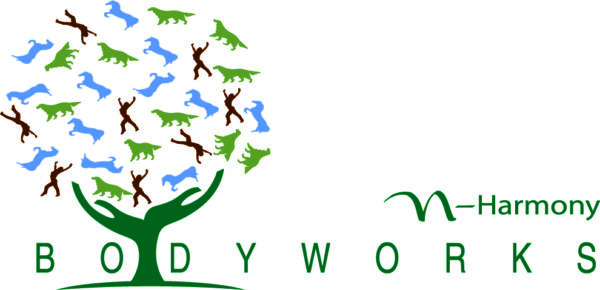 N-Harmony Bodyworks