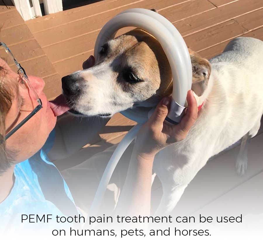 PEMF tooth pain treatment can be used on humans, pets, and horses.