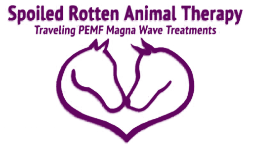 Spoiled Rotten Animal Therapy