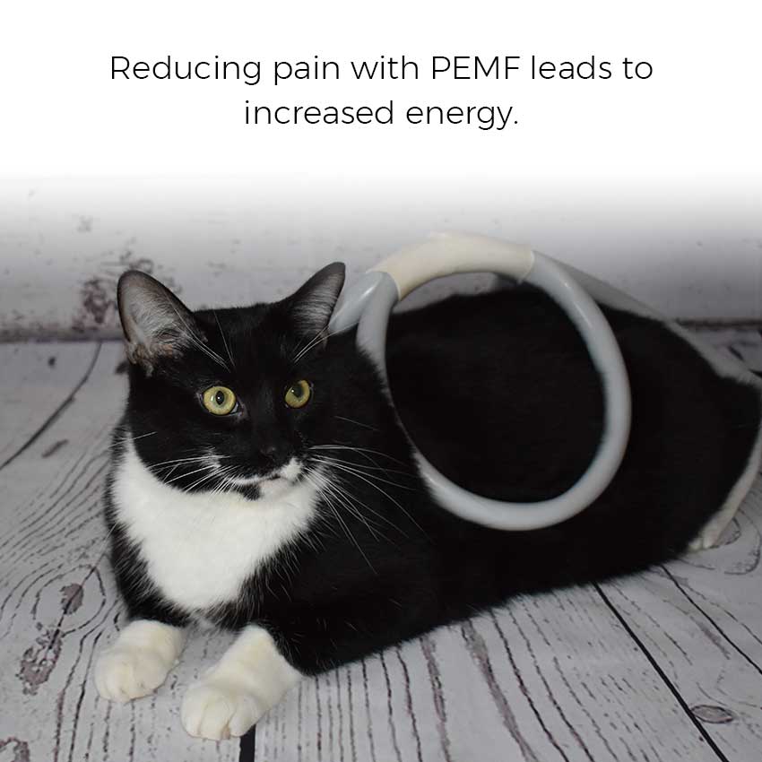 Reducing pain with PEMF leads to increased energy.