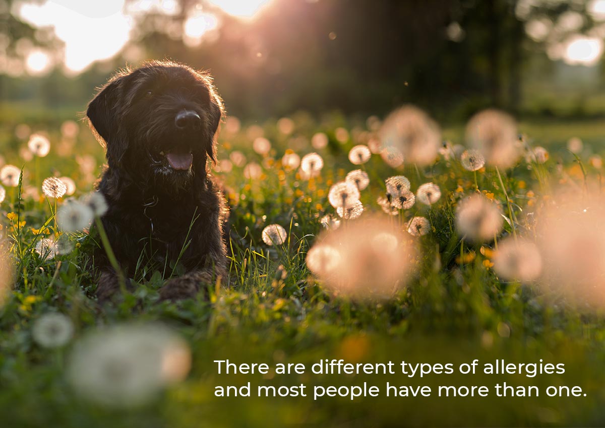 There are different types of allergies and most people have more than one.