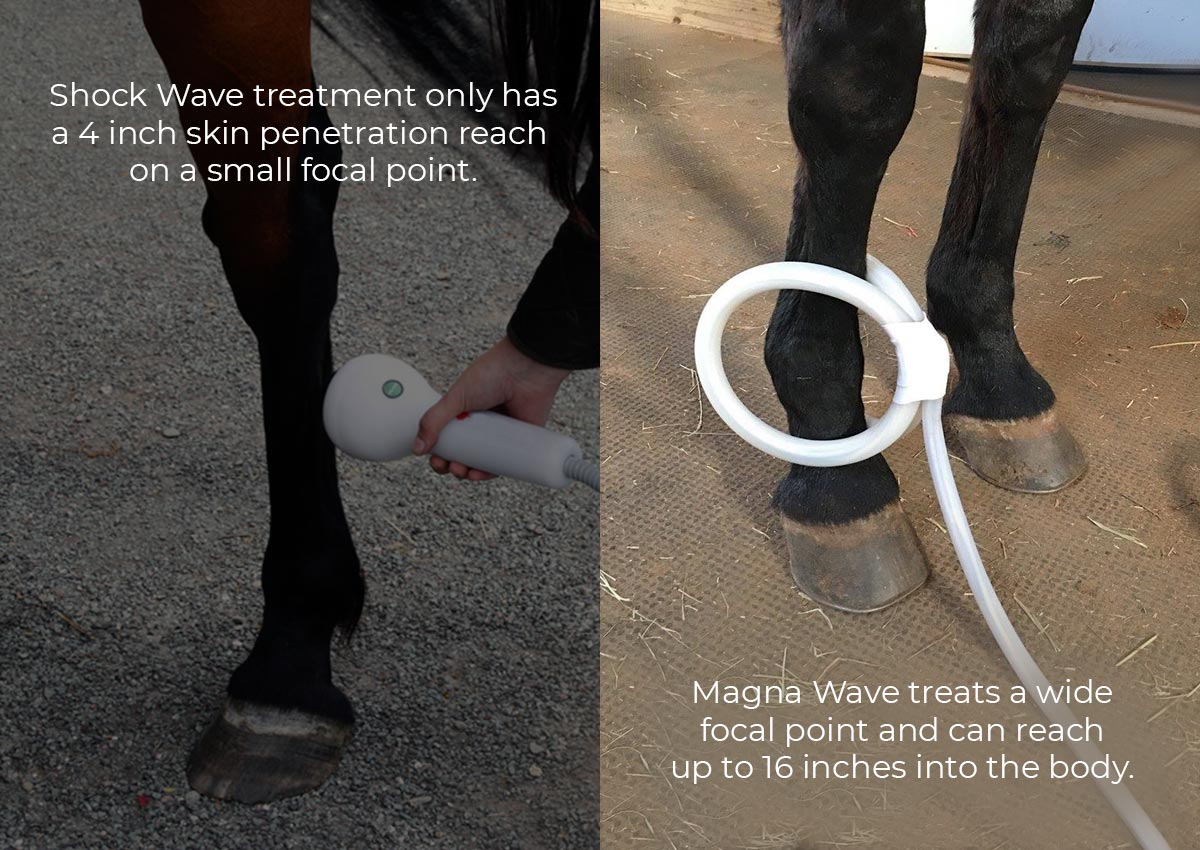 Shock Wave Treatment only has a 4 inch skin penetration reach on a small focal point. Magna Wave treats a wide focal point and can reach up to 16 inches into the body.